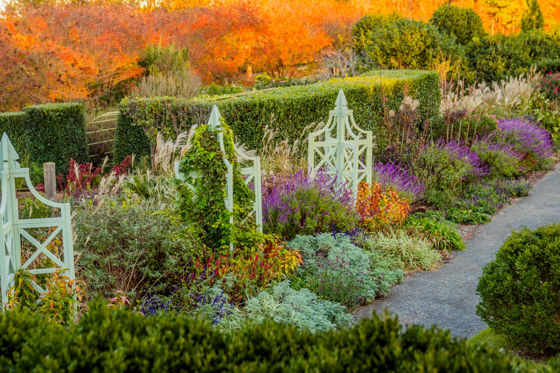 3 Ways To Keep Your Outdoor Plants Flourishing Into Fall