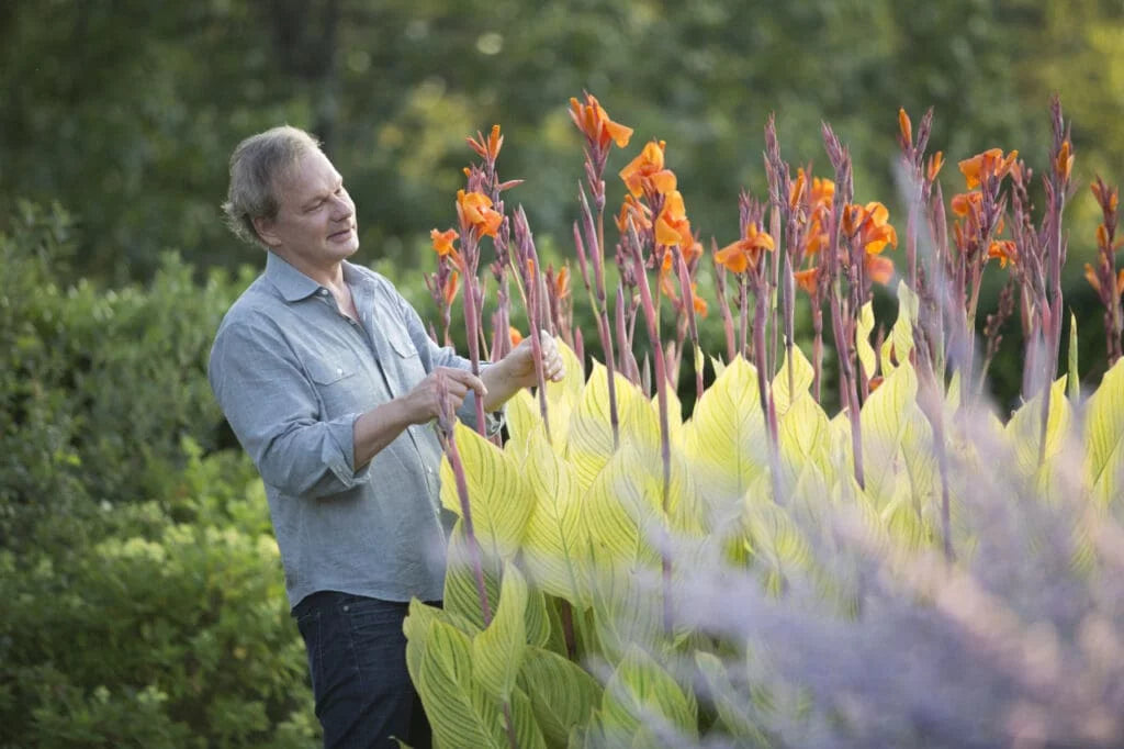 P. Allen Smith’s Favorite Summer Bulbs