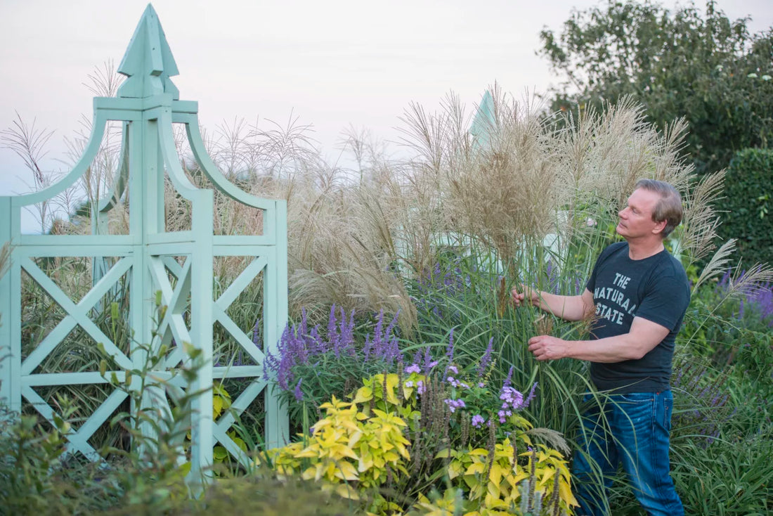 Ornamental Grasses For Texture By P. Allen Smith