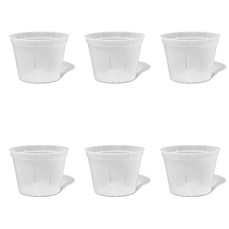 10 inch Slotted Orchid Pot (6 Pack)