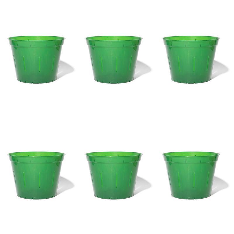 10 inch Slotted Orchid Pot (6 Pack)