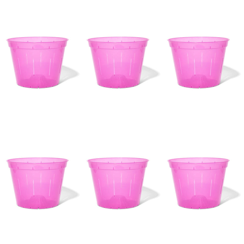 10 inch Slotted Orchid Pot (6 Pack)