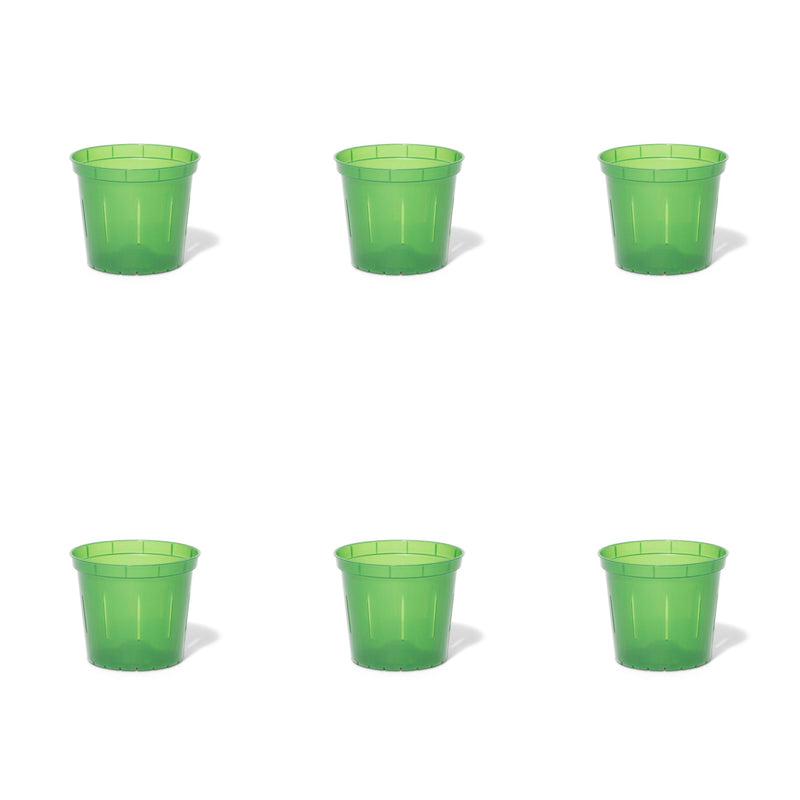 3 inch Slotted Orchid Pot (6 Pack)