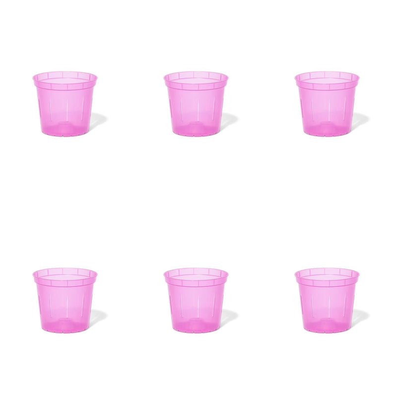 3 inch Slotted Orchid Pot (6 Pack)