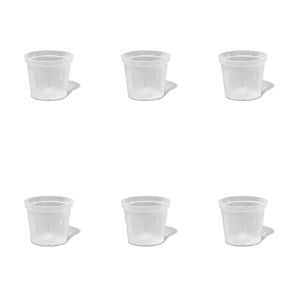 4 inch Slotted Orchid Pot (6 Pack)