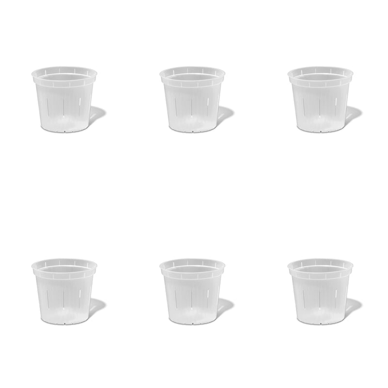 4 inch Slotted Orchid Pot (6 Pack)