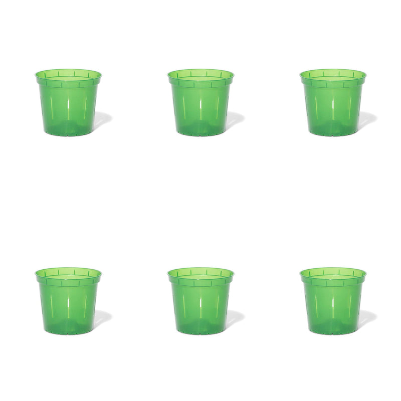 4 inch Slotted Orchid Pot (6 Pack)
