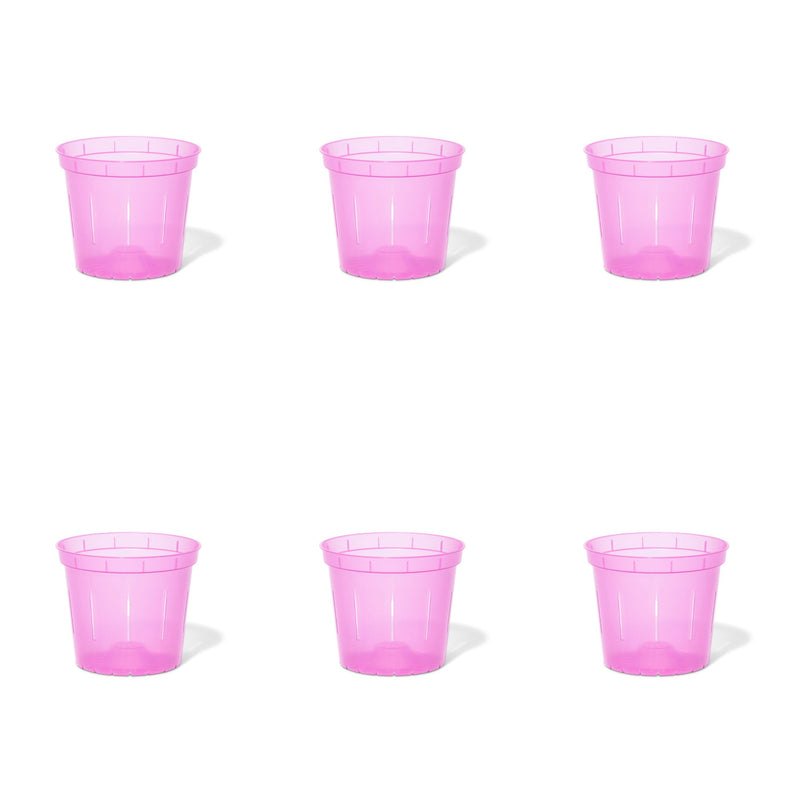 4 inch Slotted Orchid Pot (6 Pack)