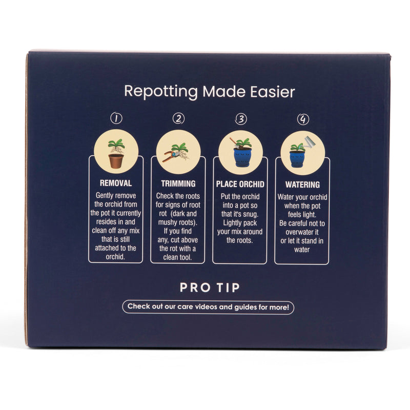 6" Evergreen Emerald Over Cream Pinwheel Fluted Orchid Pot