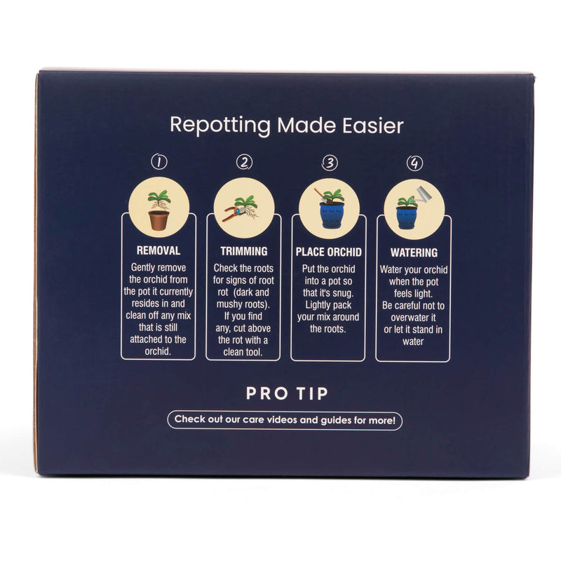 5" Creamy Chestnut Floral Cutout Orchid Pot