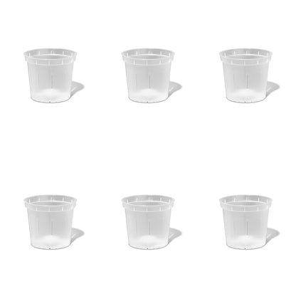 5 inch Slotted Orchid Pot (6 Pack)