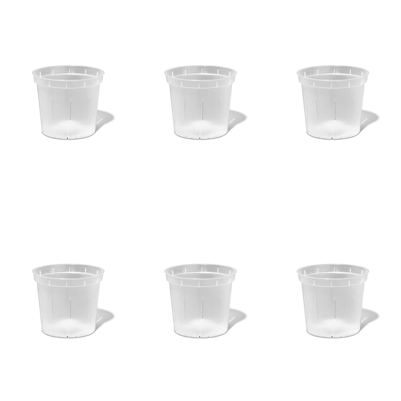 5 inch Slotted Orchid Pot (6 Pack)