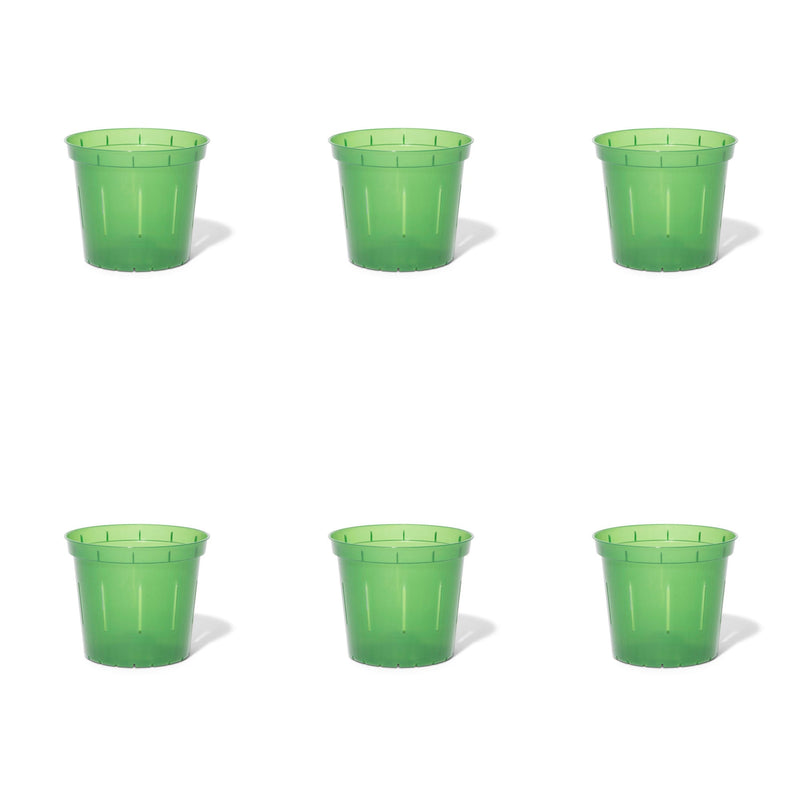 5 inch Slotted Orchid Pot (6 Pack)