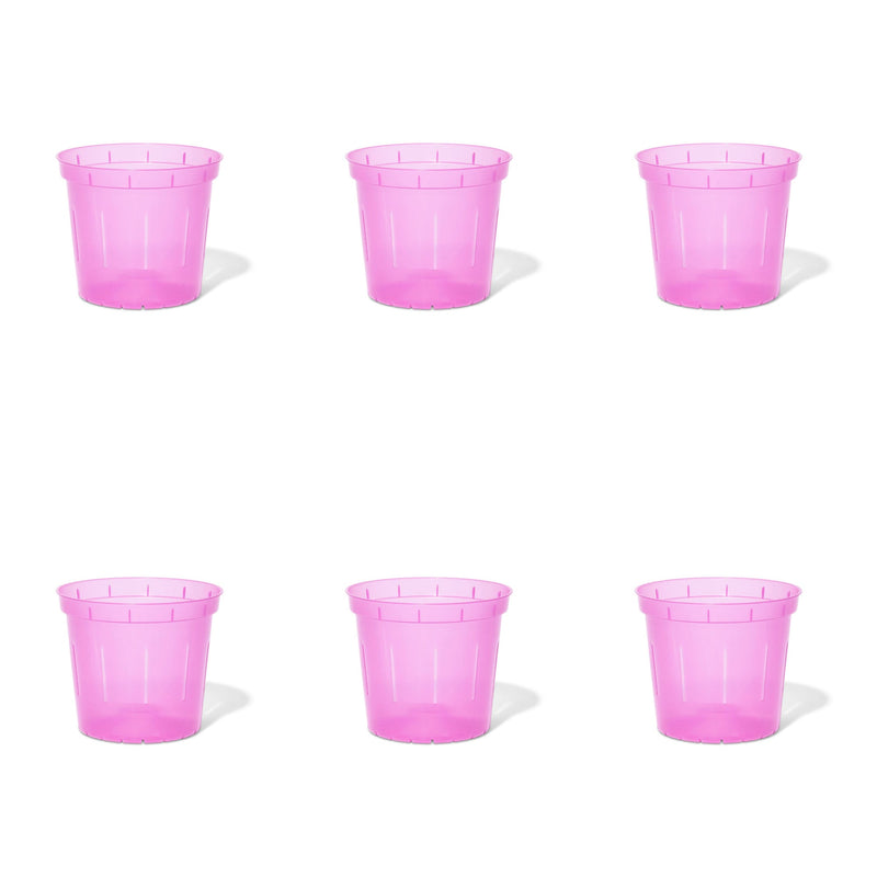 5 inch Slotted Orchid Pot (6 Pack)