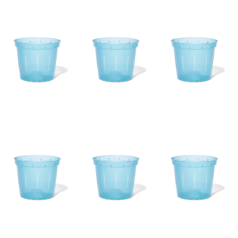 6 inch Slotted Orchid Pot (6 Pack)