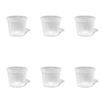 6 inch Slotted Orchid Pot (6 Pack)