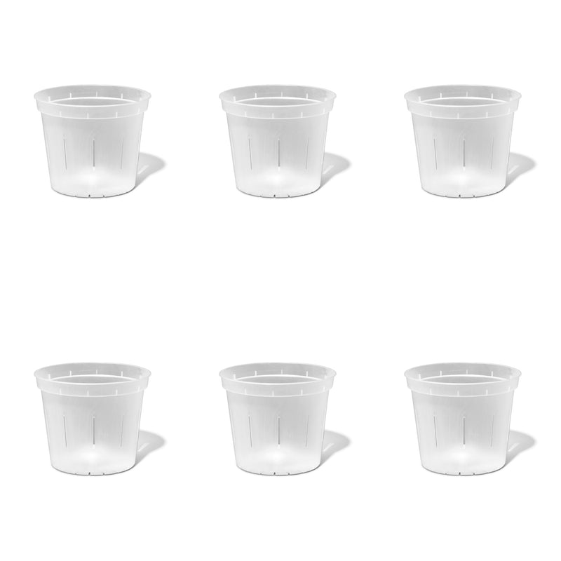 6 inch Slotted Orchid Pot (6 Pack)