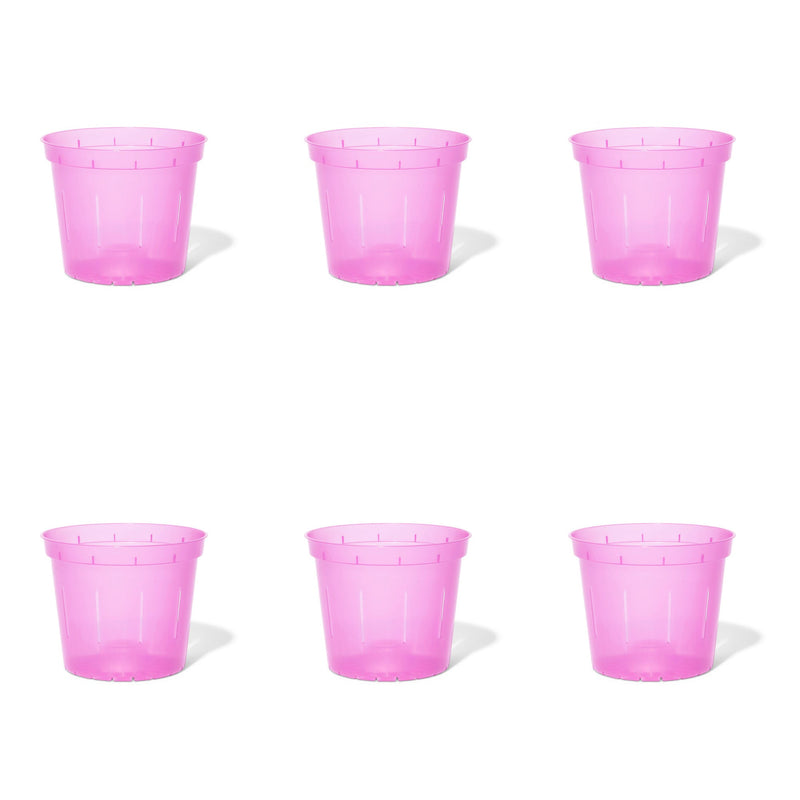 6 inch Slotted Orchid Pot (6 Pack)
