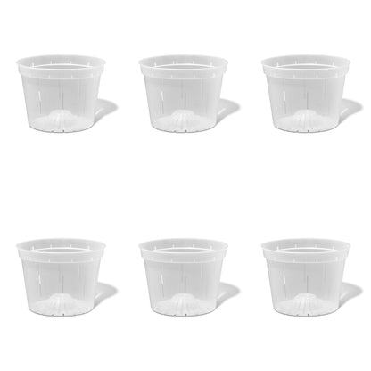8 inch Slotted Orchid Pot (6 Pack)