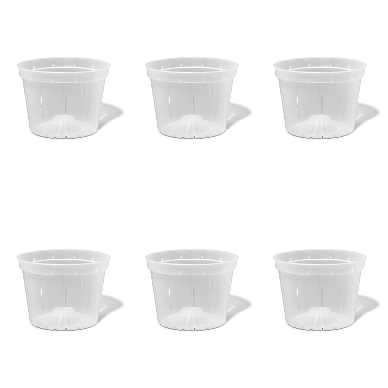 8 inch Slotted Orchid Pot (6 Pack)