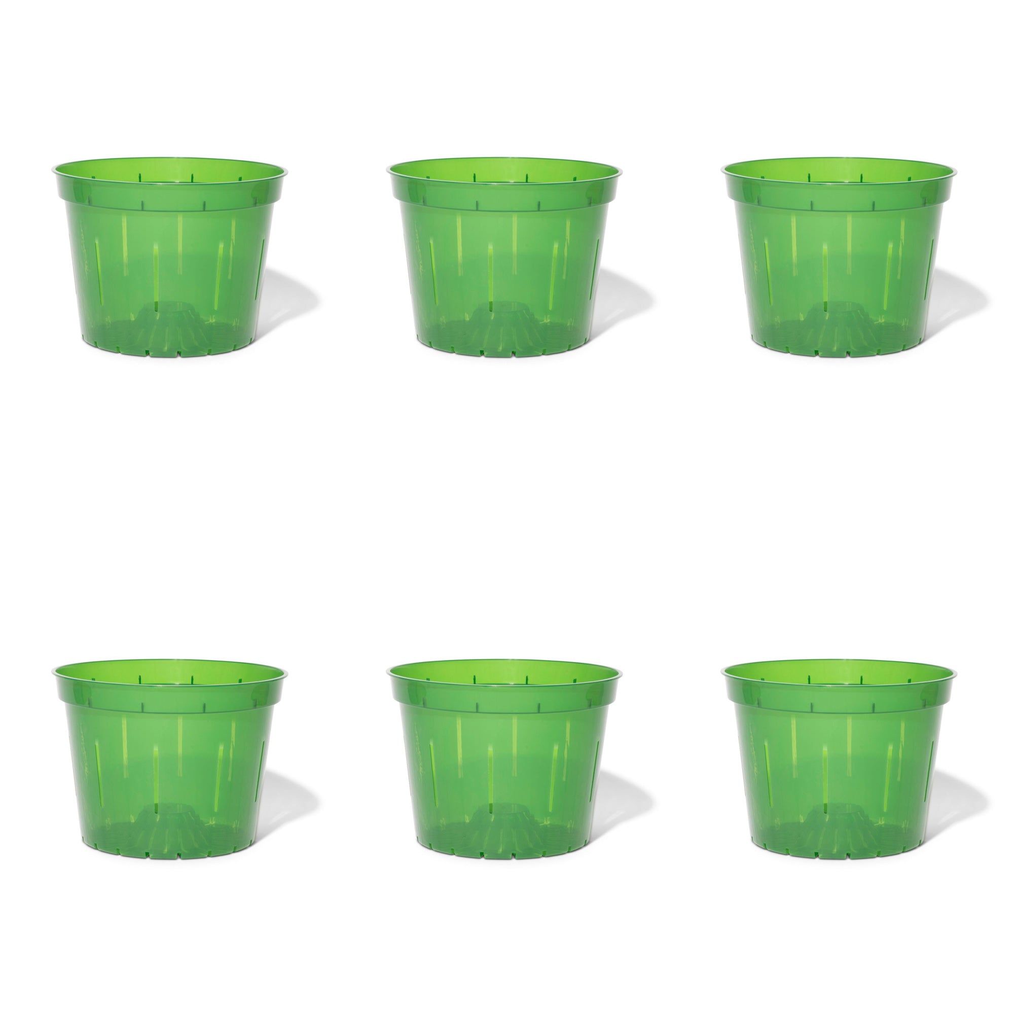 8 inch Slotted Orchid Pot (6 Pack) – Wild & Son
