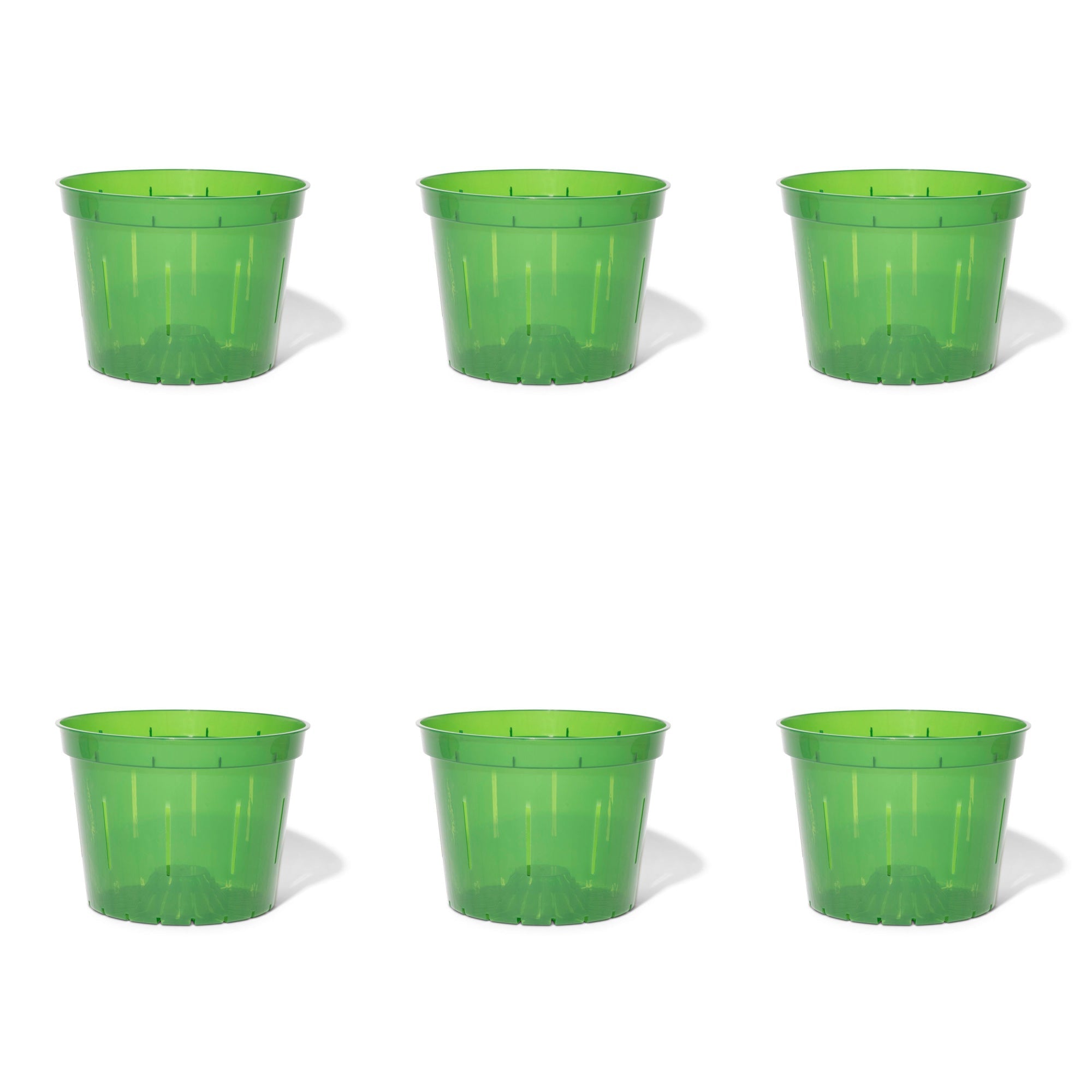 RePotme 6 Inch Slotted Clear Orchid Pots - 3 Pack In Blue Sapphire, Excellent Drainage