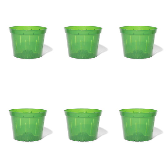 8 inch Slotted Orchid Pot (6 Pack)
