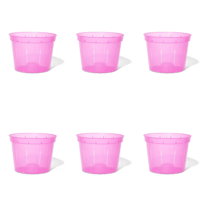 8 inch Slotted Orchid Pot (6 Pack)