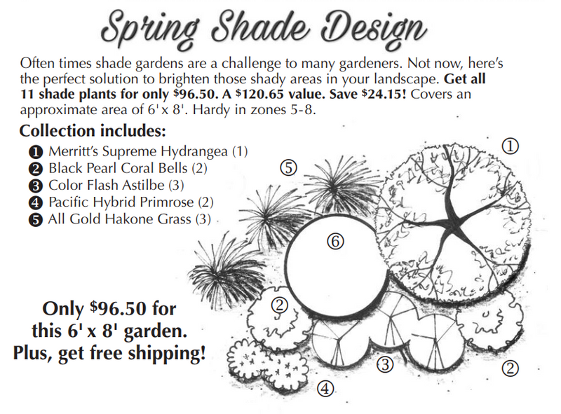 Spring Pre-Planned Shade Garden Design