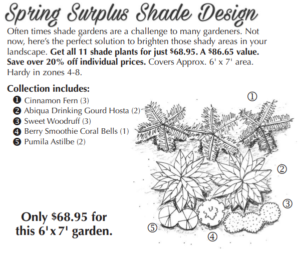 Surplus Pre-Planned Shade Garden Design