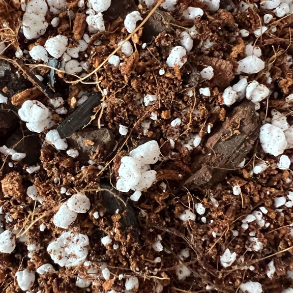 best soil mix for zz plant ZZ Plant Imperial Potting Soil Standard Bag