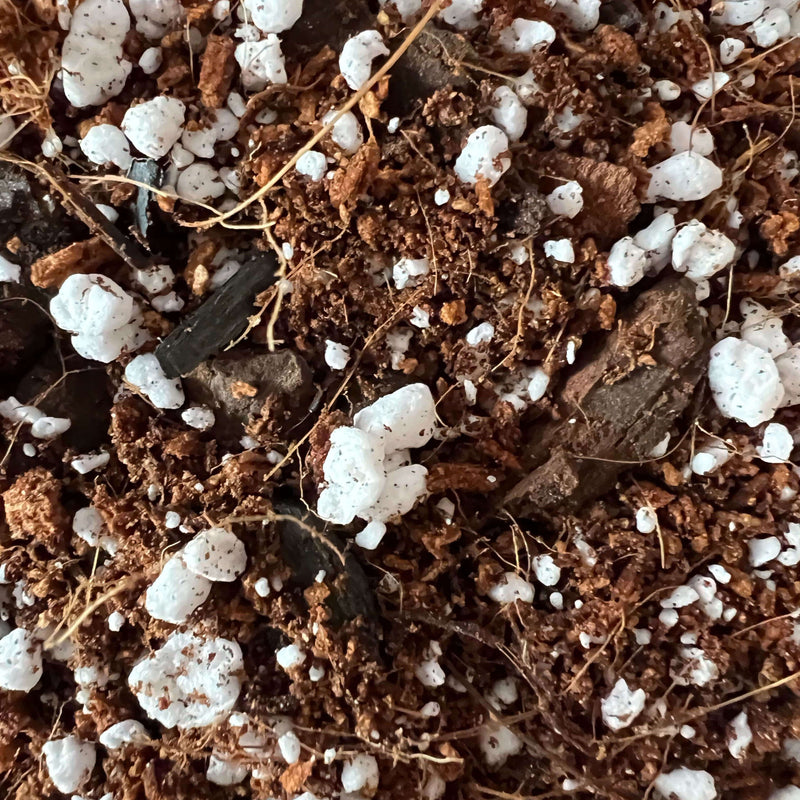 soil for a zz plant ZZ Plant Imperial Potting Soil – Wild & Son