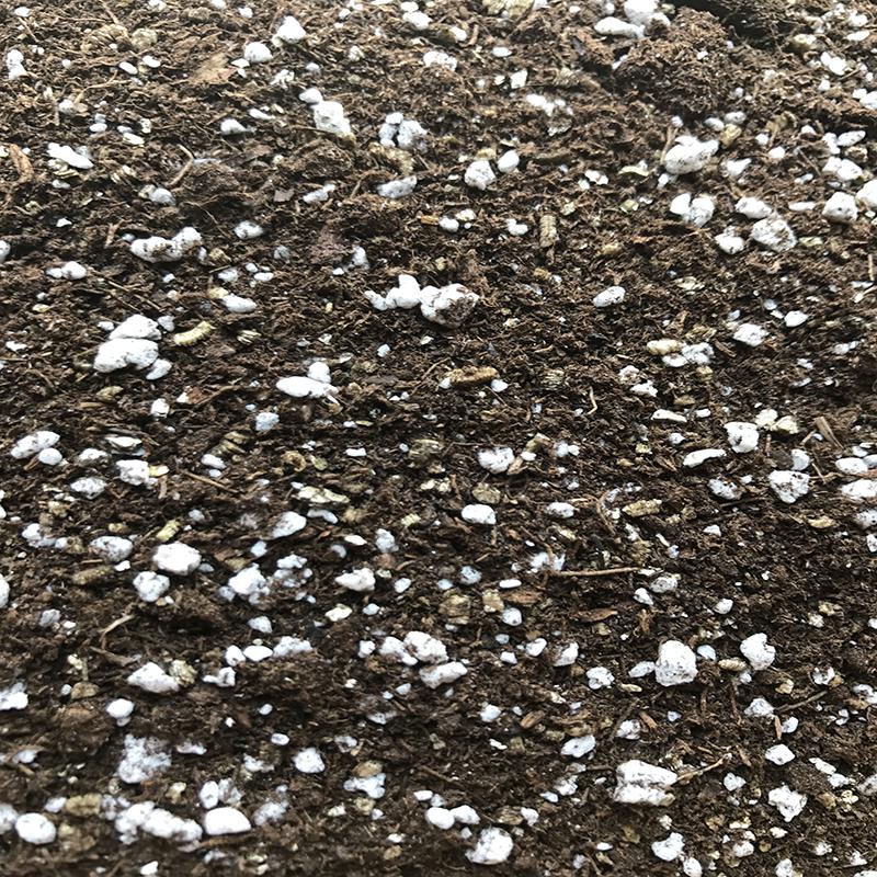 African Violet Imperial Potting Soil