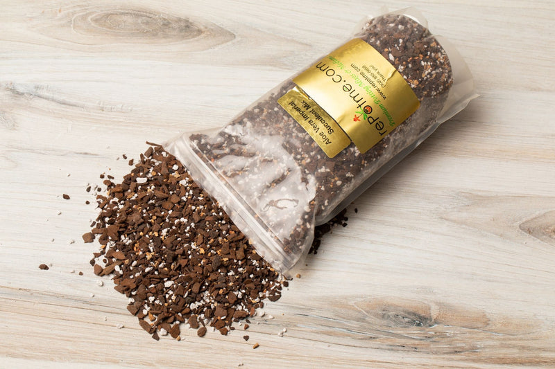 Aloe Vera Imperial Succulent Mix