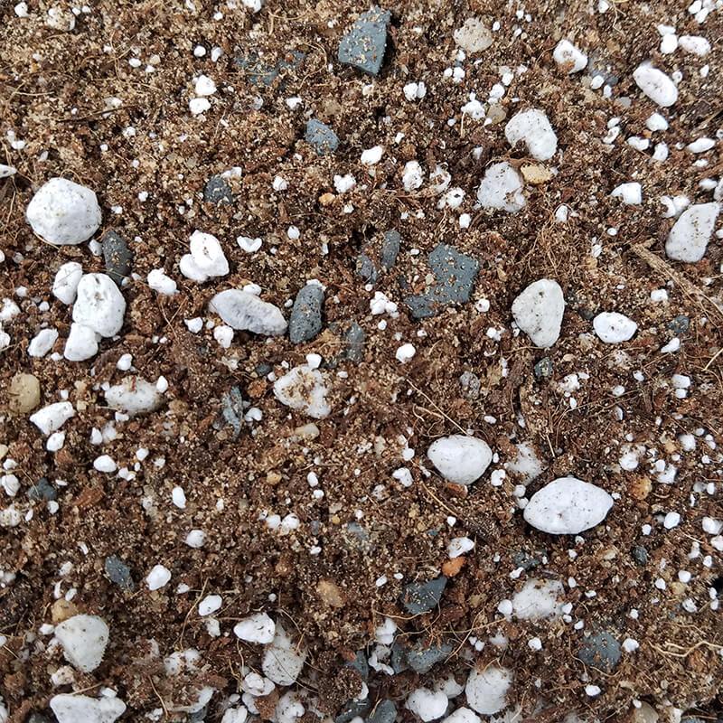 All Purpose Cactus and Succulent Classic Potting Mix