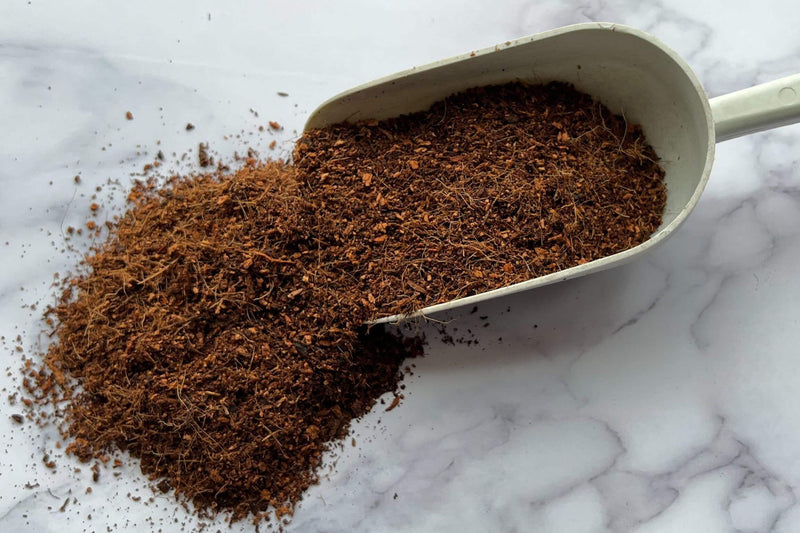 Premium Coconut Coir