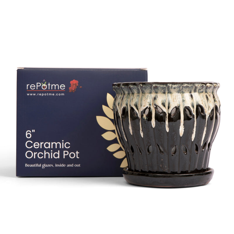 6" Honey Cream Over Coffee Pinwheel Fluted Orchid Pot