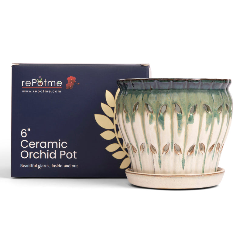 6" Evergreen Emerald Over Cream Pinwheel Fluted Orchid Pot