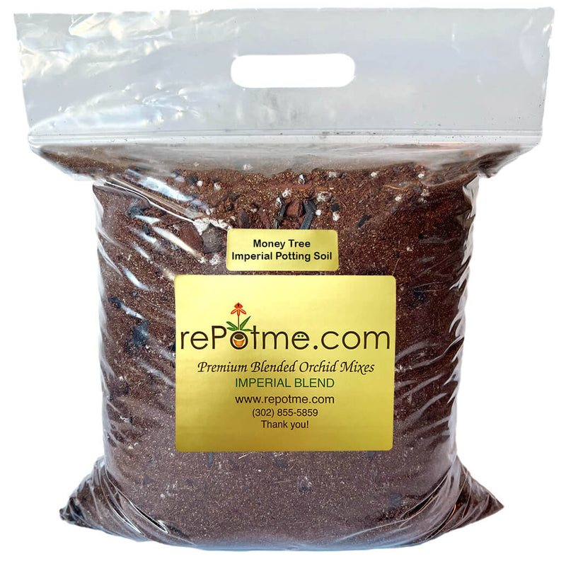 Money Tree Imperial Potting Soil Mix