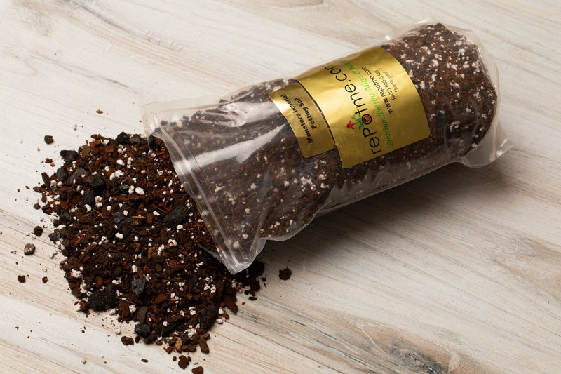 Monstera Imperial Potting Soil Mix