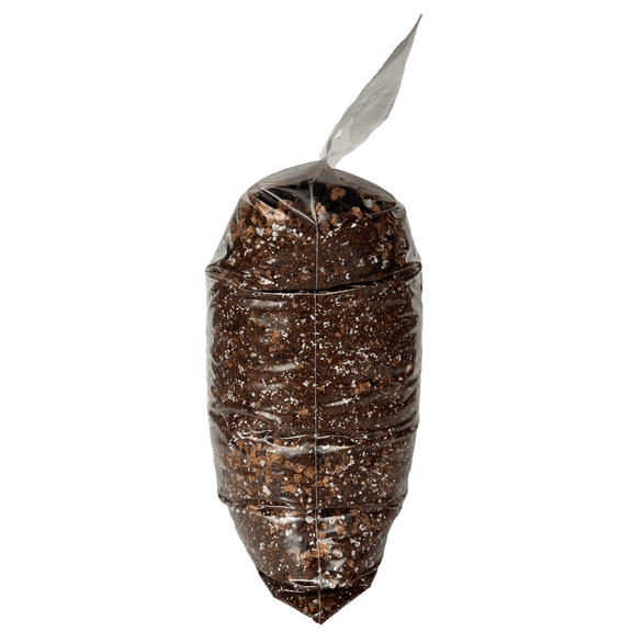 soil mixture for peace lily Peace Lily Imperial Potting Soil Mix Standard Bag