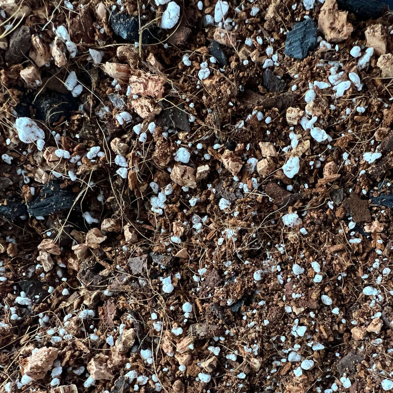 Peace Lily Imperial Potting Soil Mix