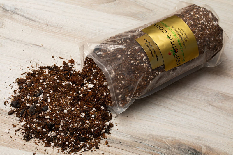 Philodendron/Aroid Imperial Potting Soil Mix