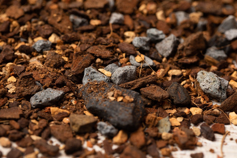 Pothos/Ivy Imperial Potting Soil Mix