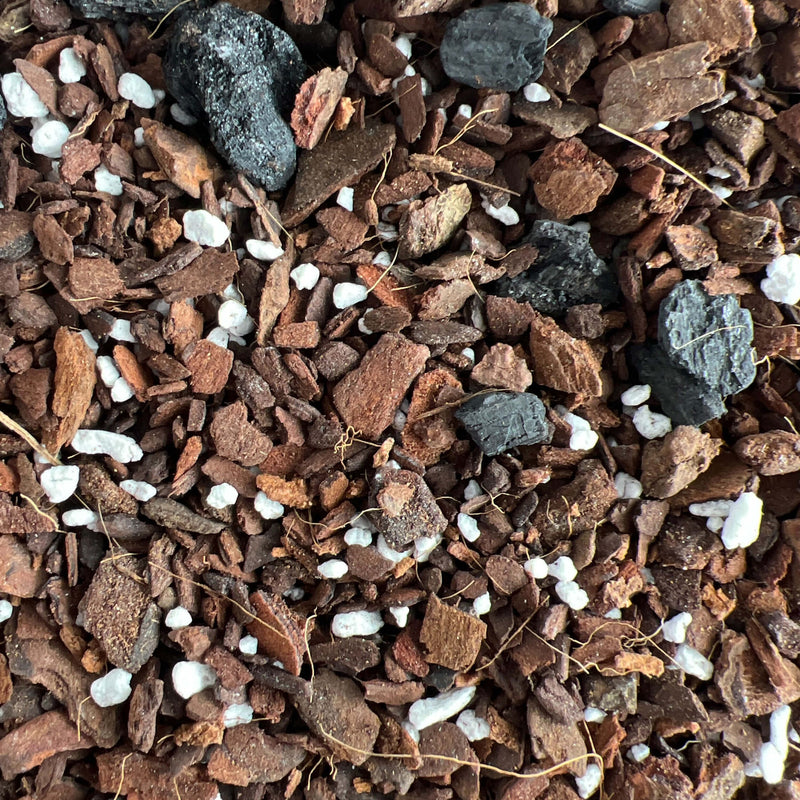 Snake Plant Imperial Potting Soil Mix