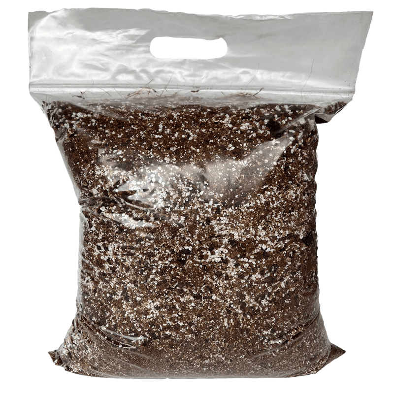type of soil for spider plant Spider Plant Imperial Potting Soil Mix – Wild & Son