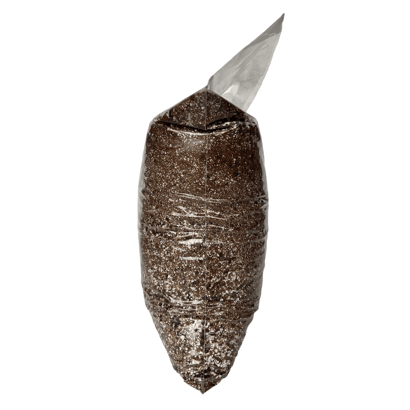 Spider Plant Imperial Potting Soil Mix