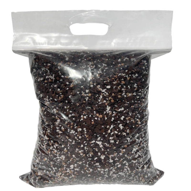 Aloe Vera Imperial Succulent Mix