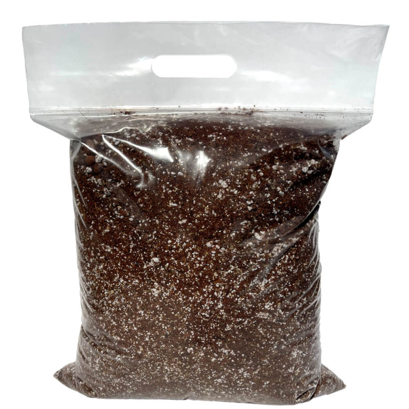 Jade Plant Imperial Succulent Mix