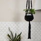 Macrame Hanger Self Watering Set - Midnight Sky